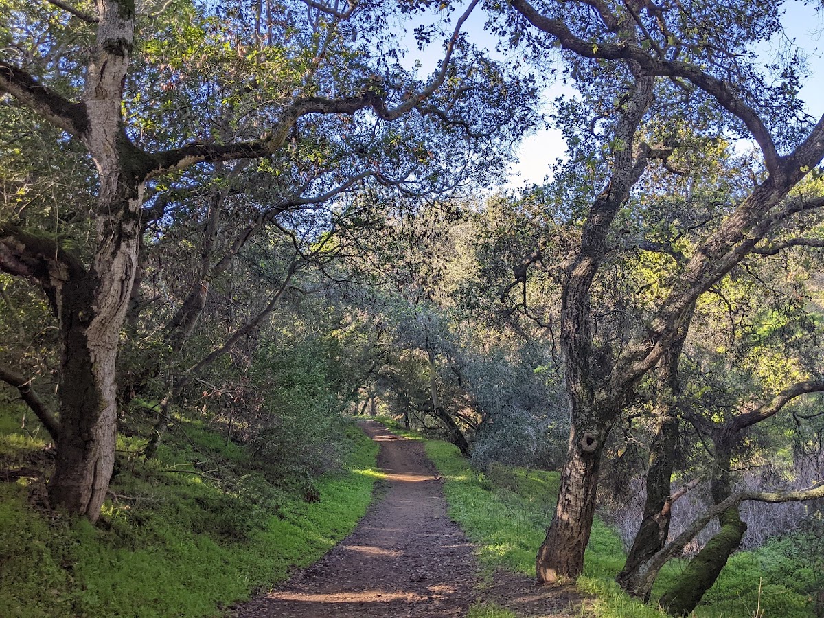 Dry Creek Pioneer Regional Park photo 2