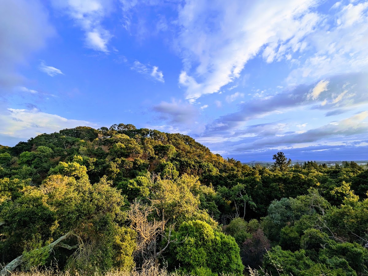 Dry Creek Pioneer Regional Park photo 4