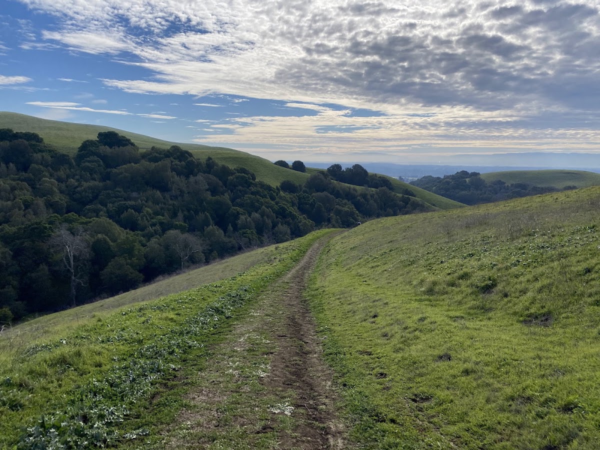 Dry Creek Pioneer Regional Park photo 5