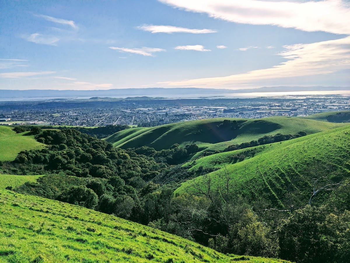 Dry Creek Pioneer Regional Park photo 6