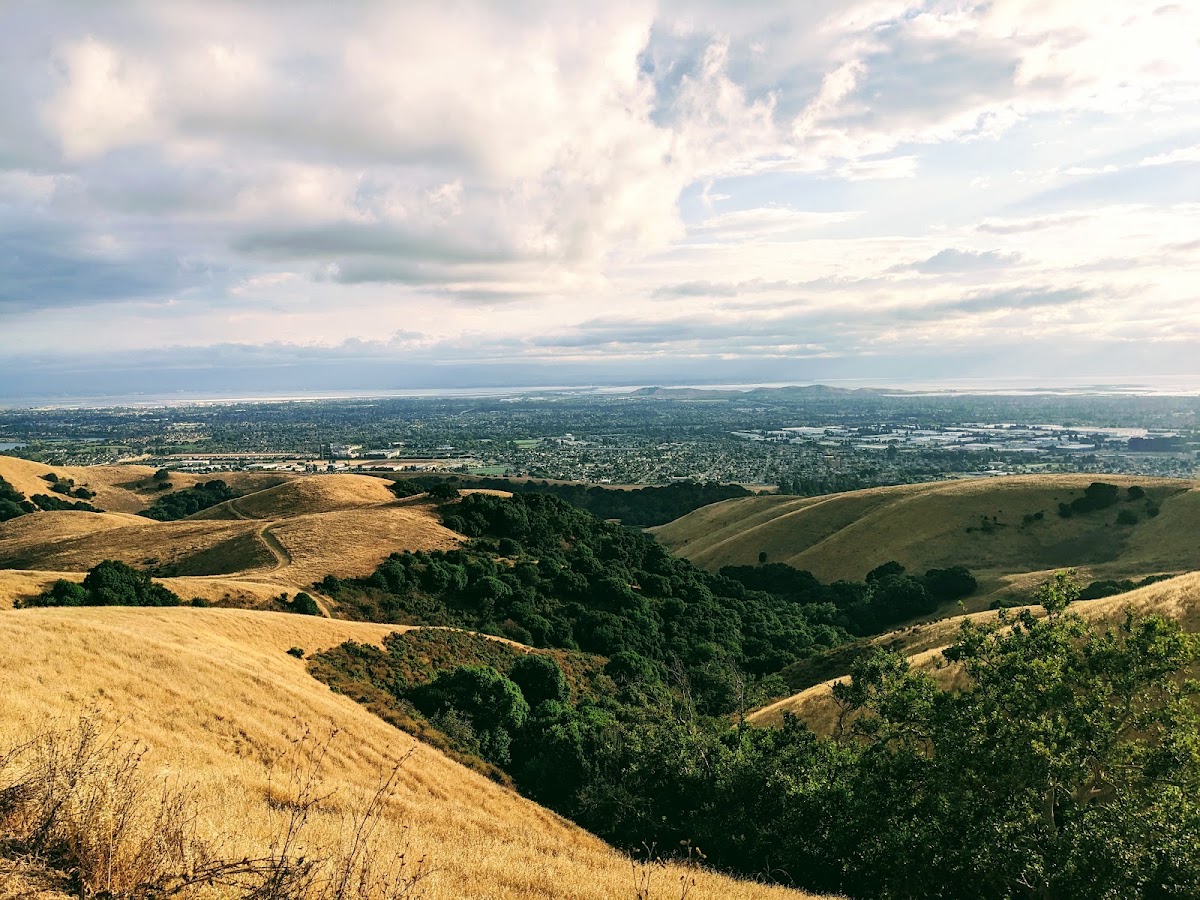 Dry Creek Pioneer Regional Park photo 7