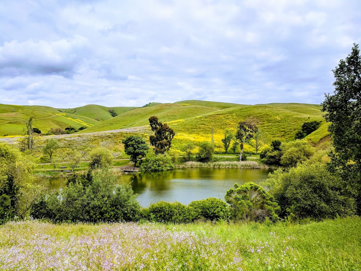 Dry Creek Pioneer Regional Park photo 9