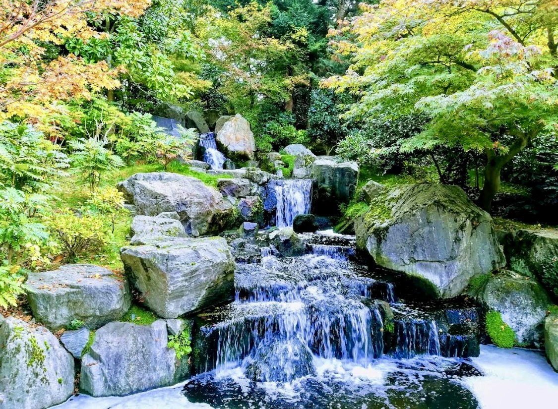 Holland Park photo 2