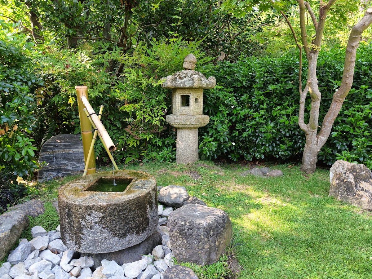 Holland Park photo 5