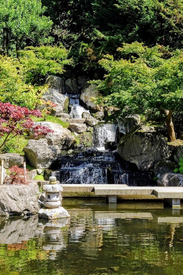 Holland Park photo 9