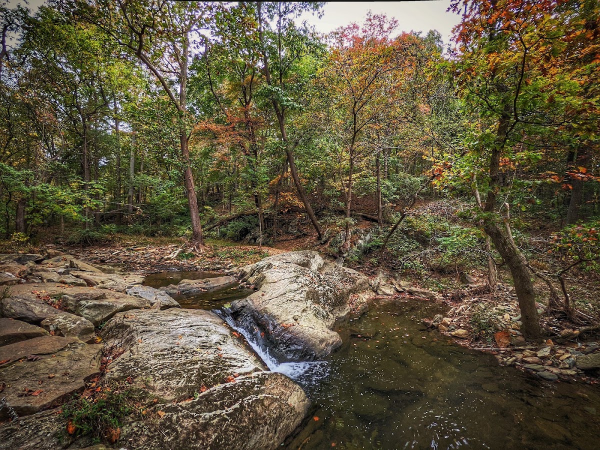 Rock Creek Regional Park photo 4