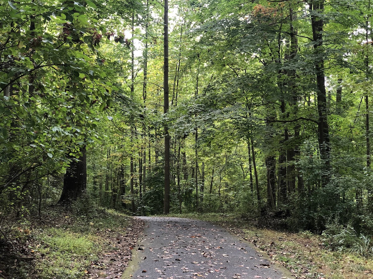 Rock Creek Regional Park photo 7