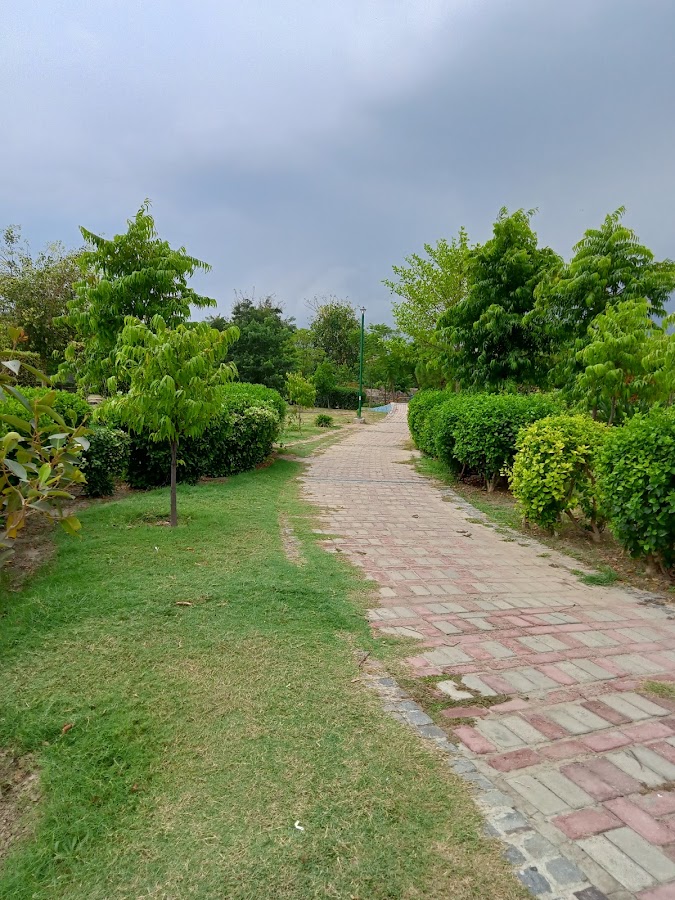 D Park Sector-62 photo 2