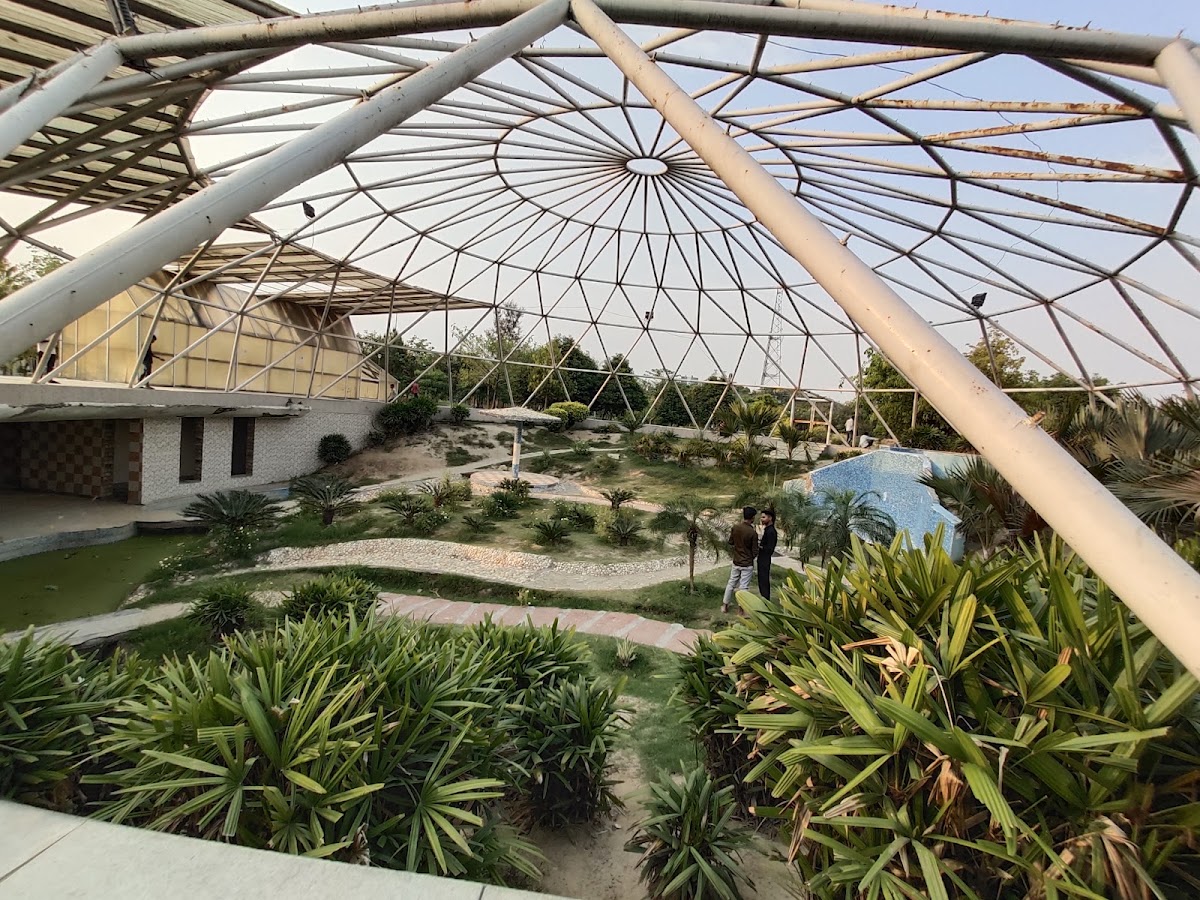 D Park Sector-62 photo 3
