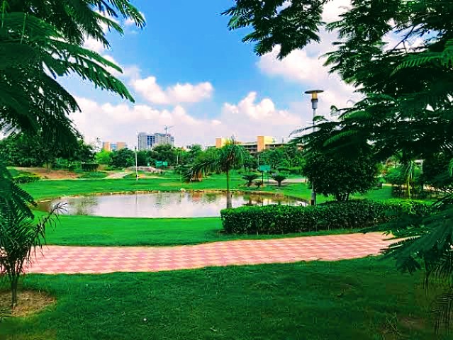 D Park Sector-62 photo 7