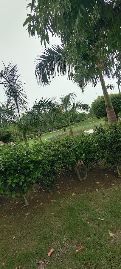 D Park Sector-62 photo 8
