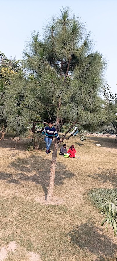 D Park Sector-62 photo 9
