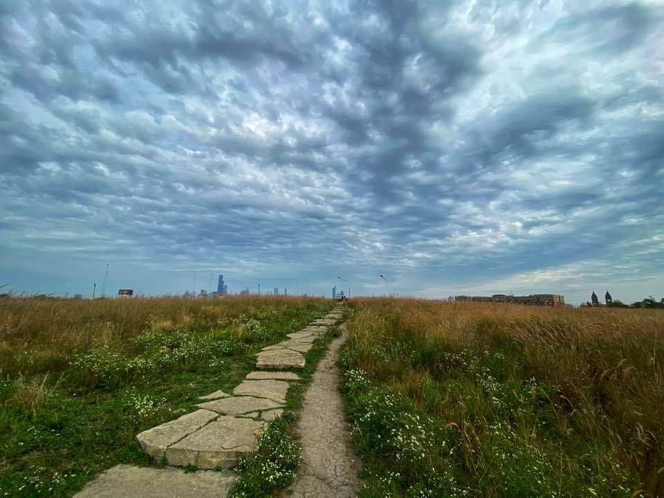 Palmisano (Henry) Park photo 5