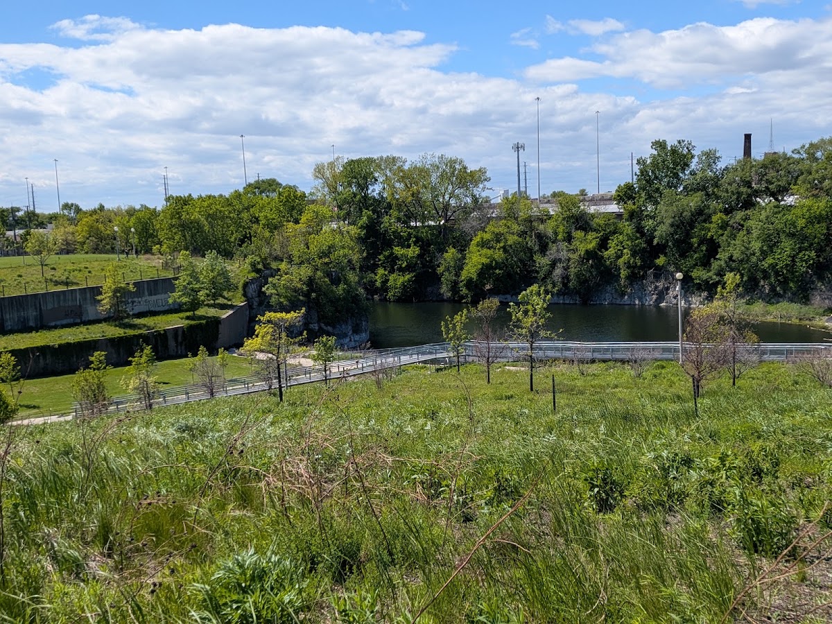 Palmisano (Henry) Park photo 6