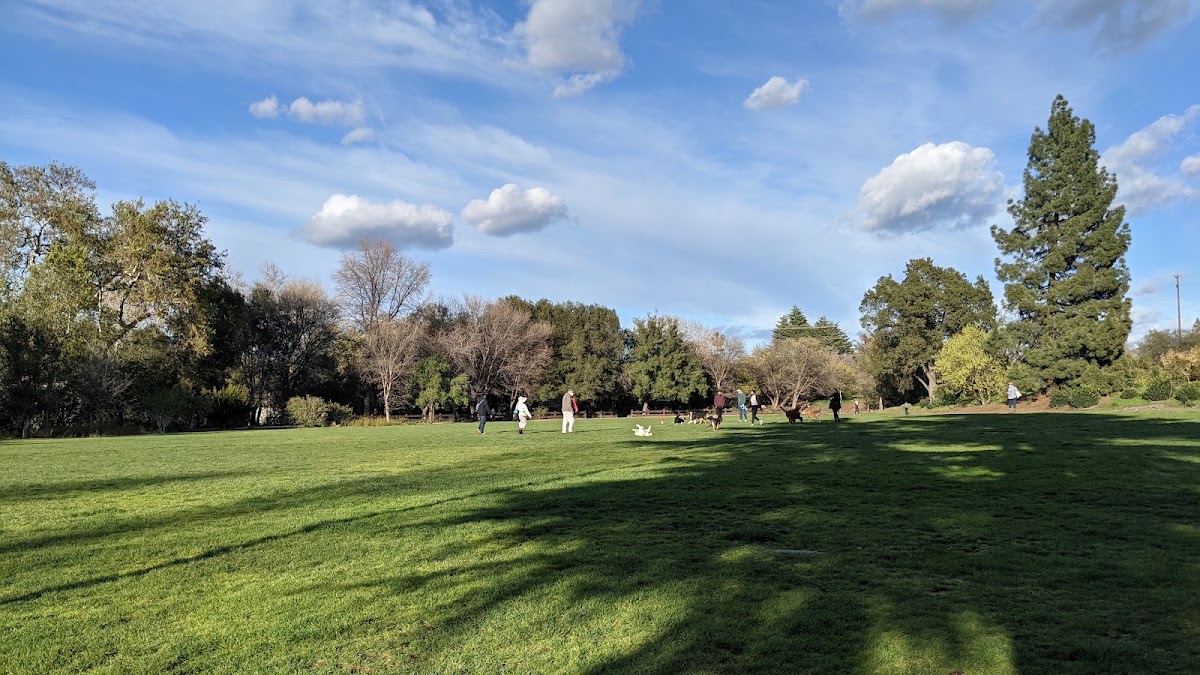 Civic Park photo 4