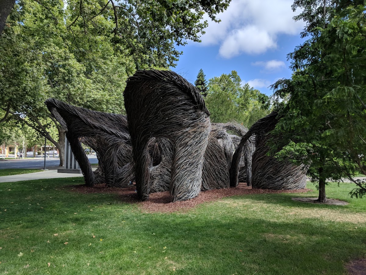 Civic Park photo 6