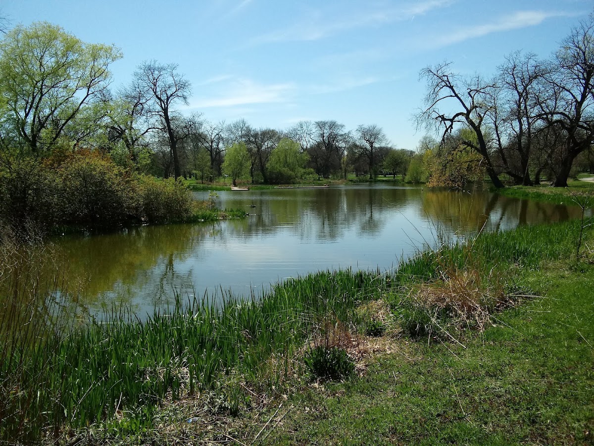 Washington Park photo 3