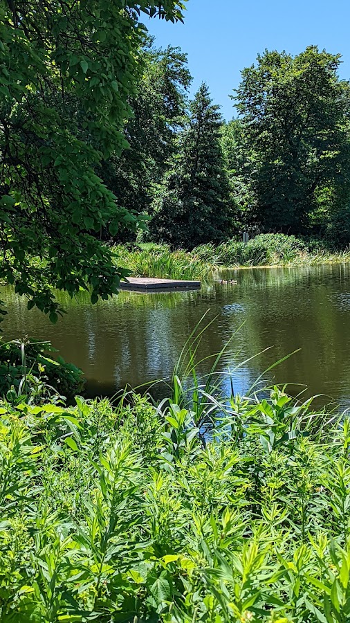 Washington Park photo 7