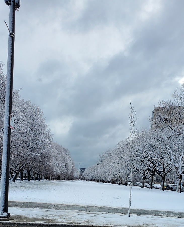 Washington Park photo 8