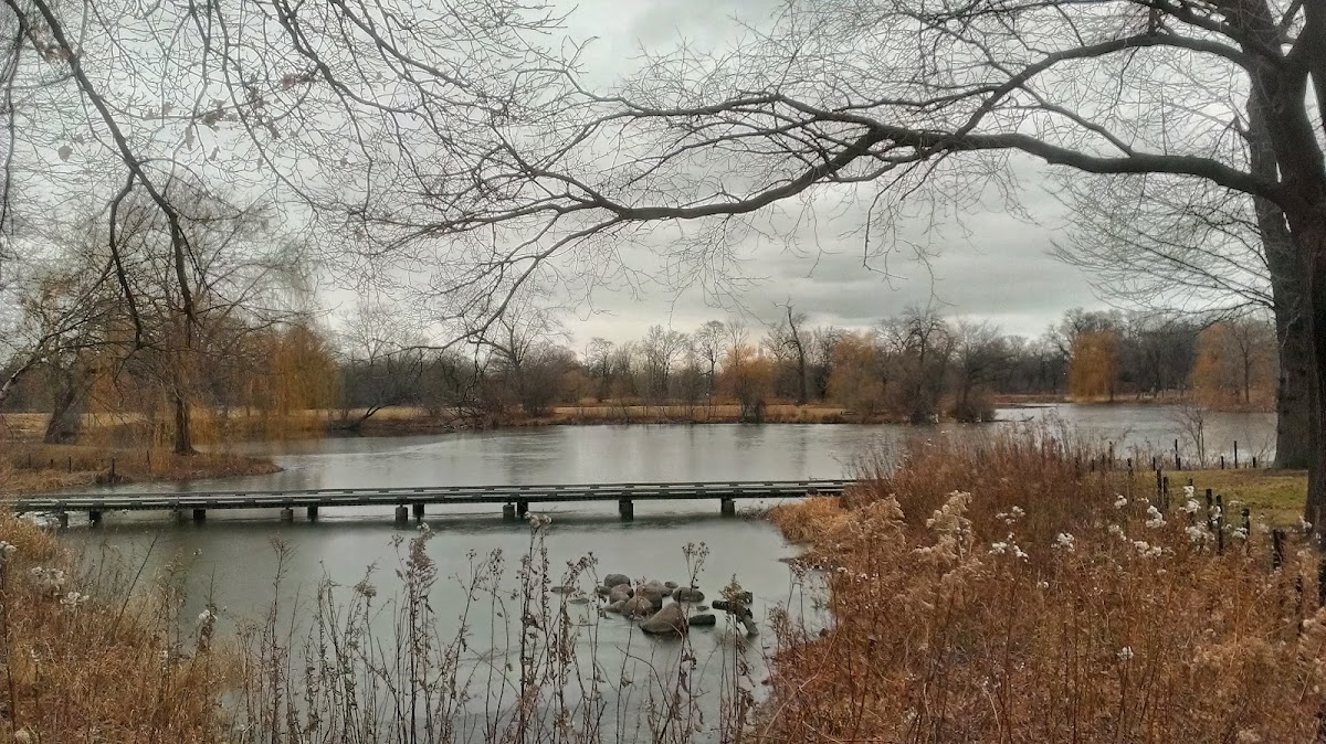 Washington Park photo 9