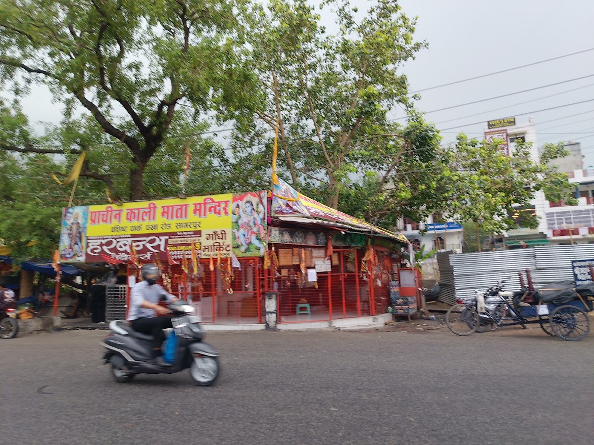 Kali Mata Mandir, West Sagarpur, New Delhi photo 9