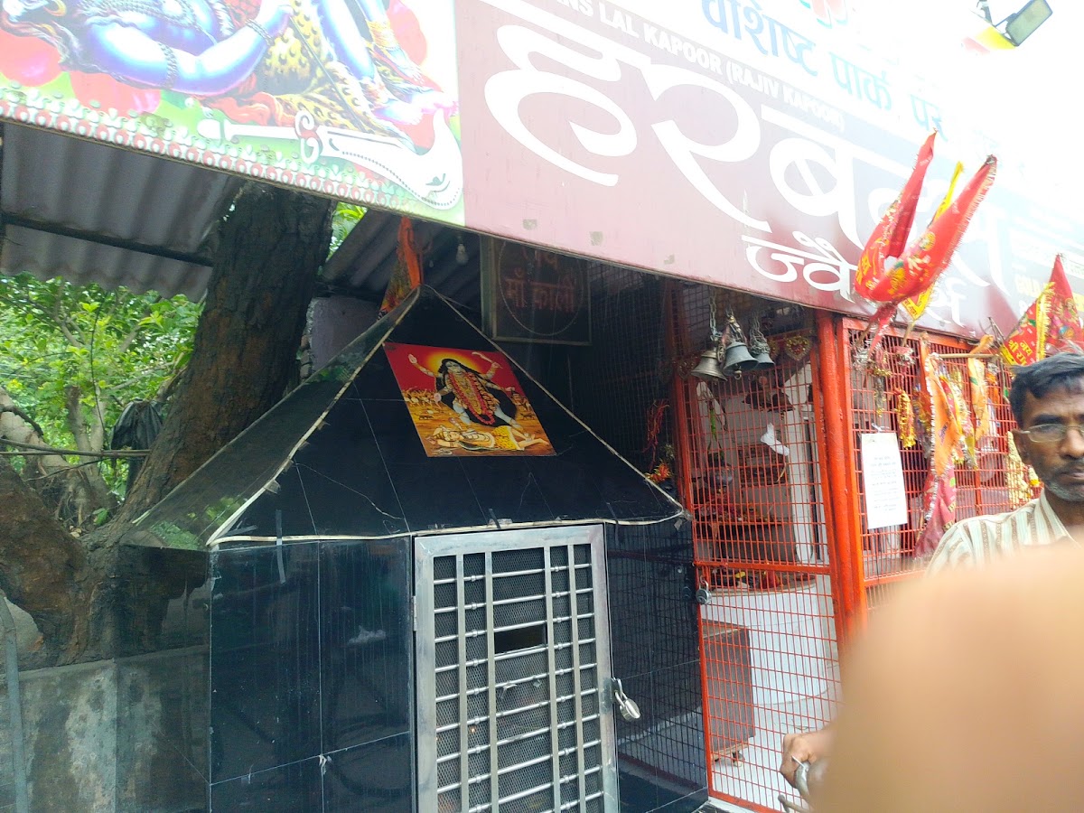 Kali Mata Mandir, West Sagarpur, New Delhi photo 10