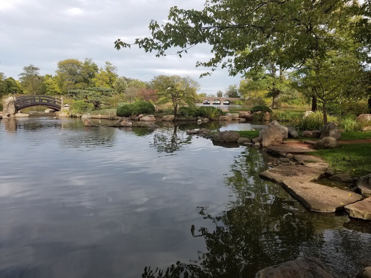 Jackson Park photo 2