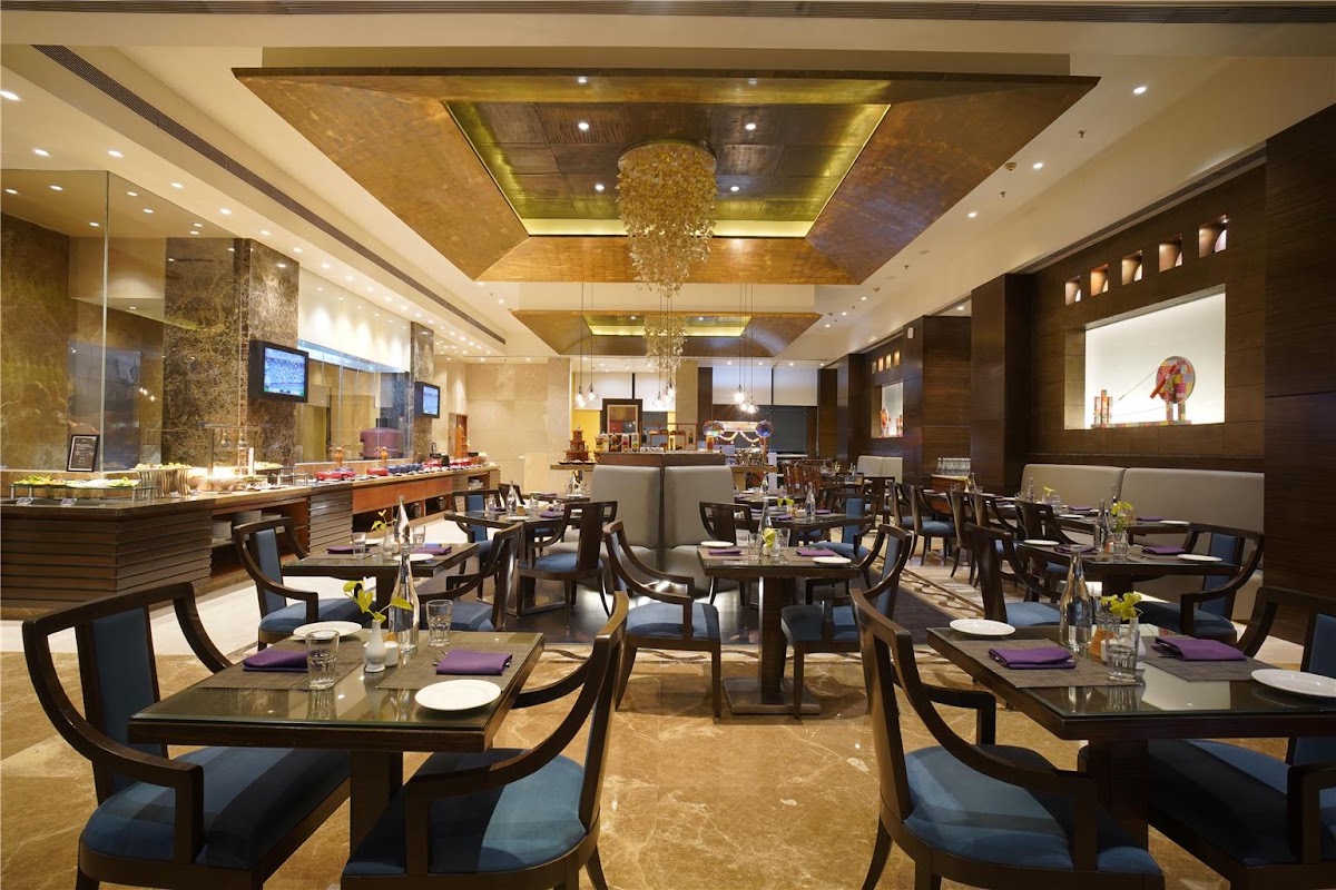 Radisson Blu Hotel, Ahmedabad photo 5