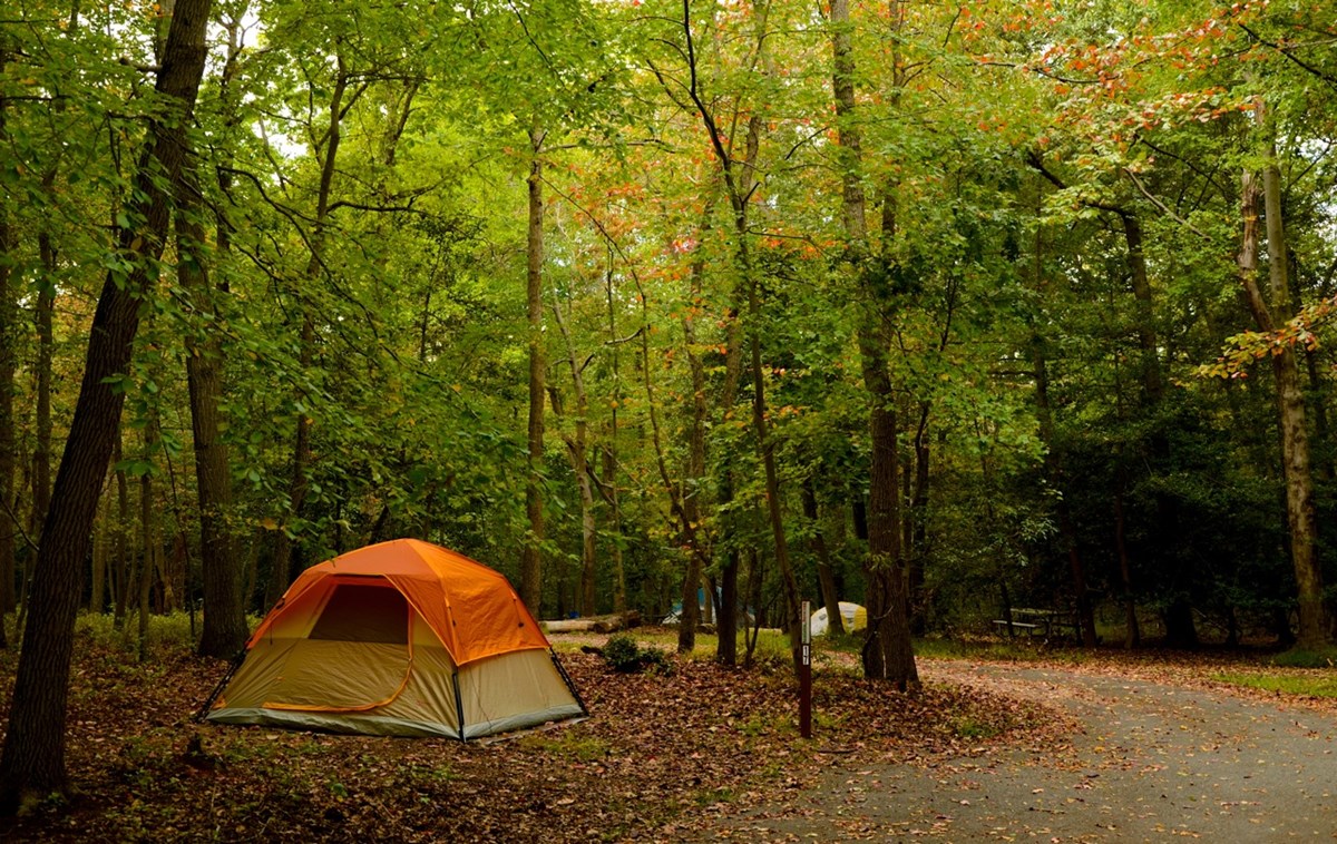 Greenbelt Park photo 5