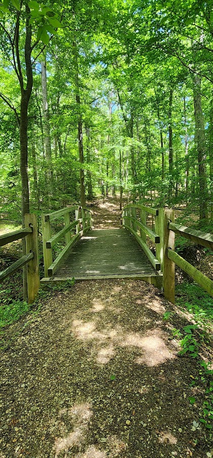 Greenbelt Park photo 6