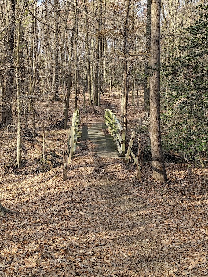 Greenbelt Park photo 8