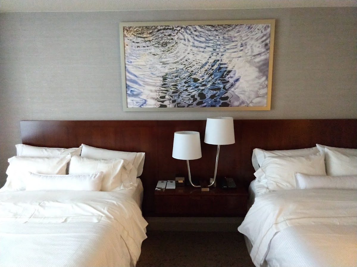 The Westin Arlington photo 8