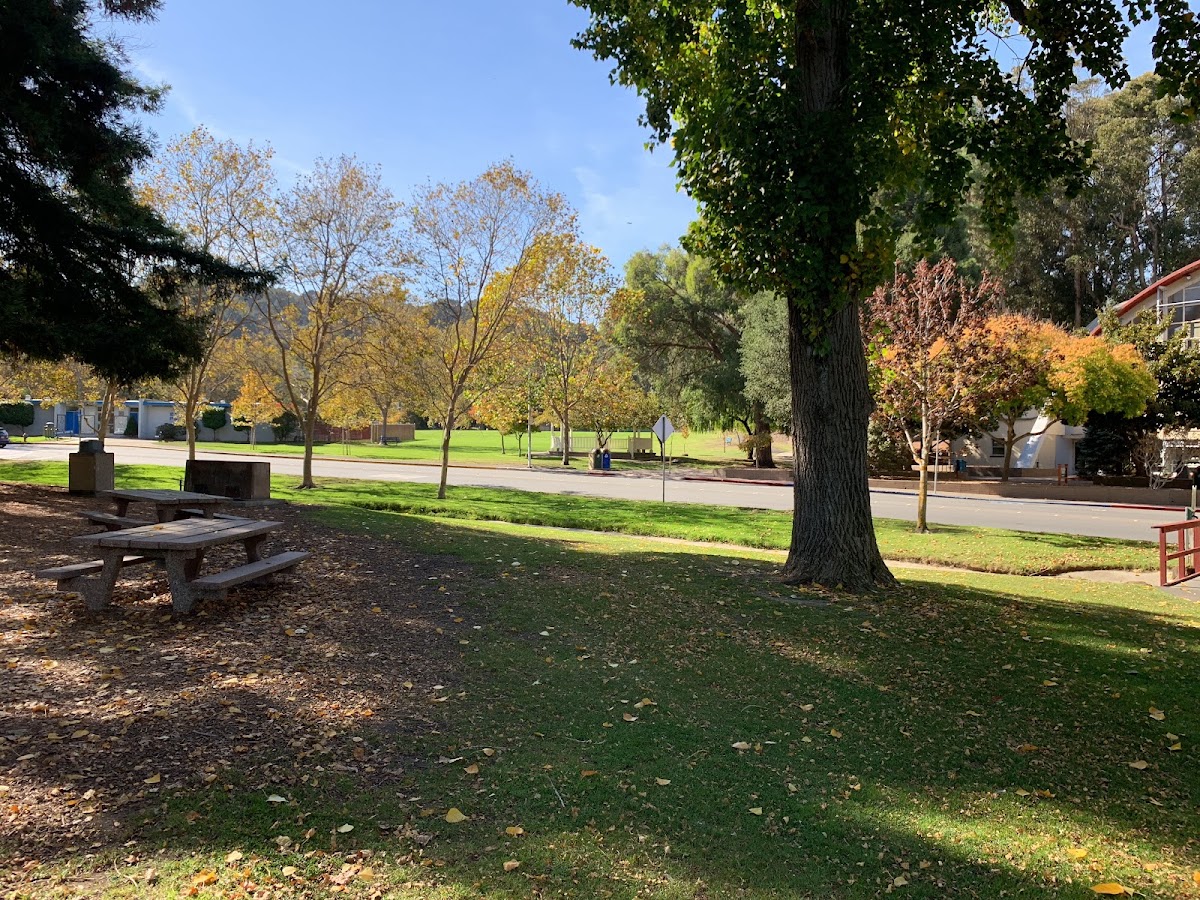 San Bruno City Park photo 4