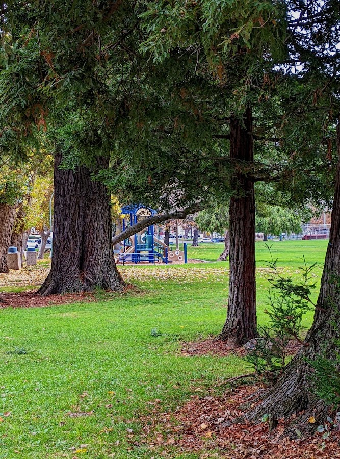 San Bruno City Park photo 7