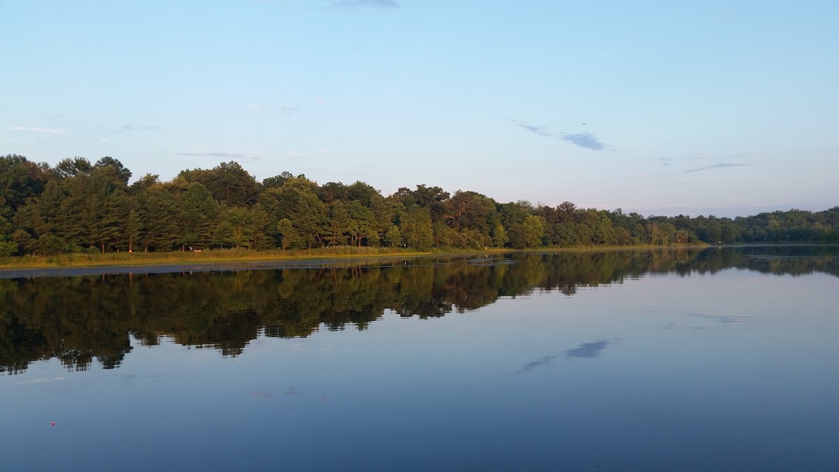 Lake Artemesia Natural Area photo 3