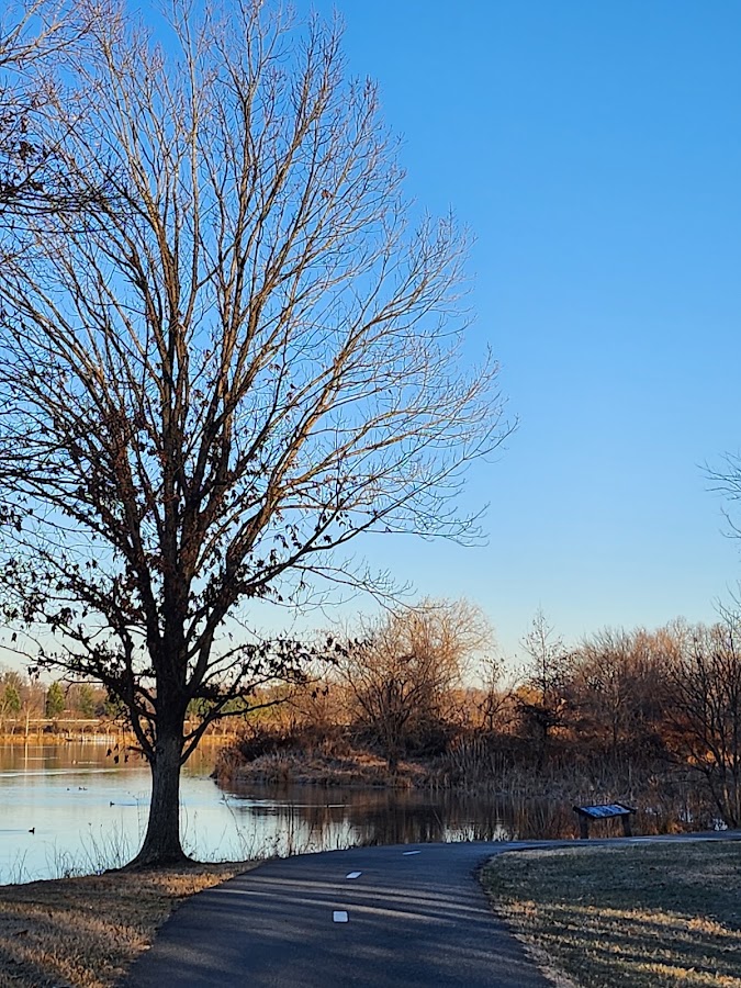 Lake Artemesia Natural Area photo 10