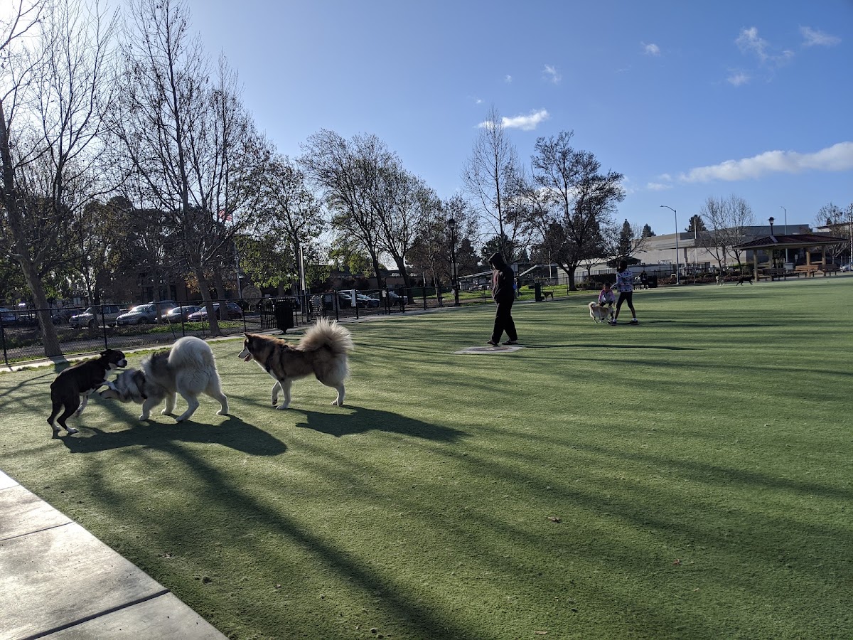 Central Park Dog Park photo 3