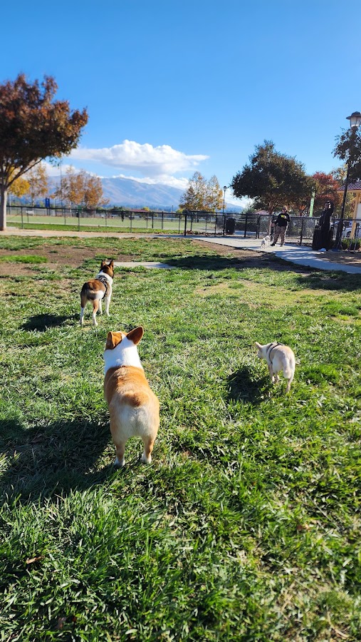 Central Park Dog Park photo 9