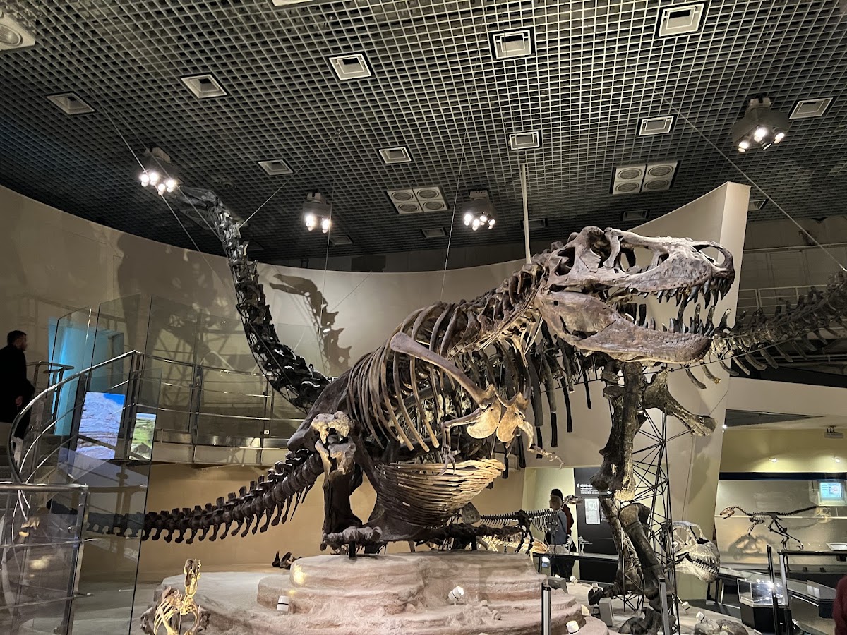 National Museum of Nature and Science
