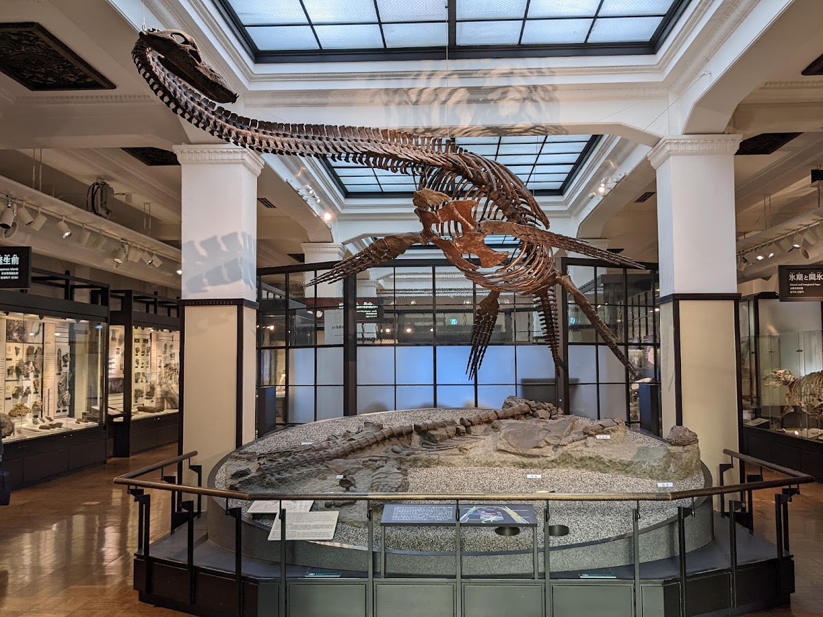 National Museum of Nature and Science photo 6