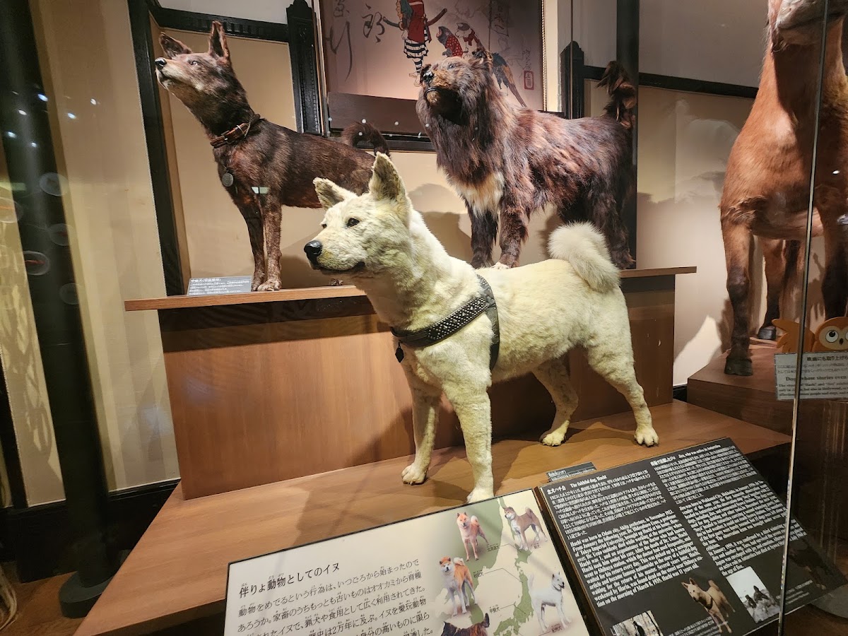 National Museum of Nature and Science photo 10