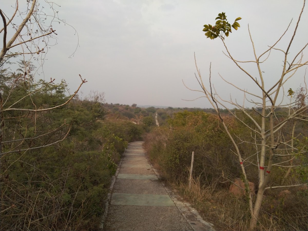 Aravali Biodiversity Park photo 2