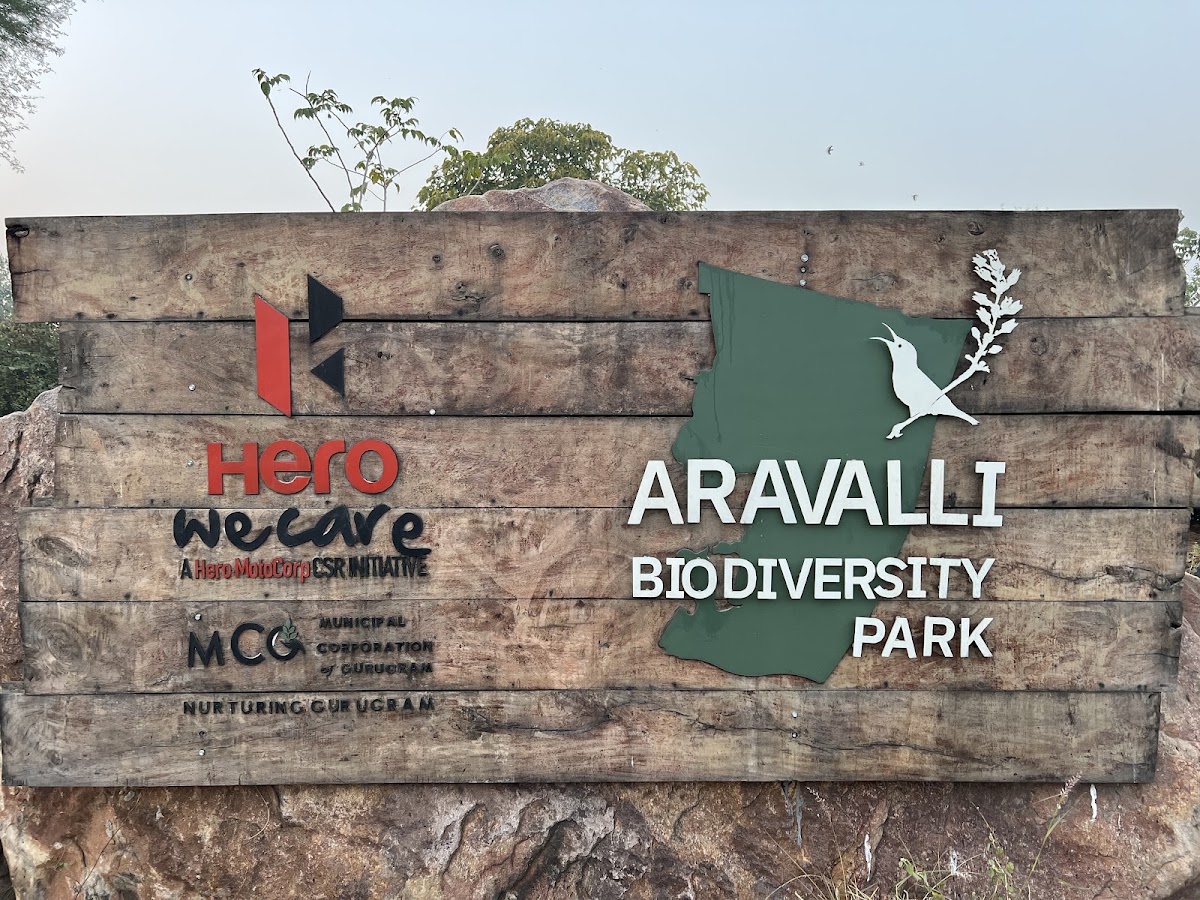 Aravali Biodiversity Park photo 4