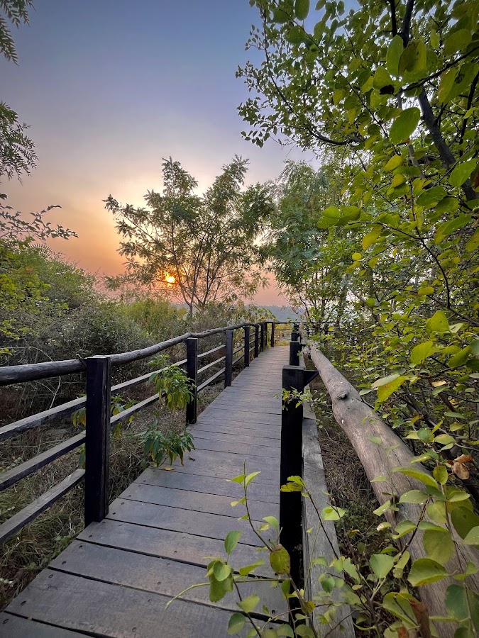 Aravali Biodiversity Park photo 6