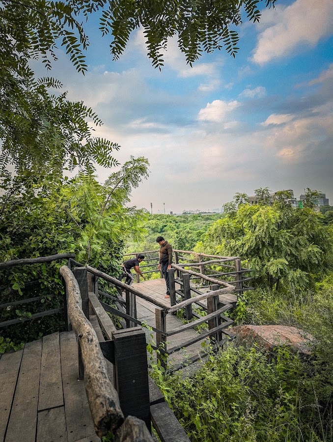 Aravali Biodiversity Park photo 7