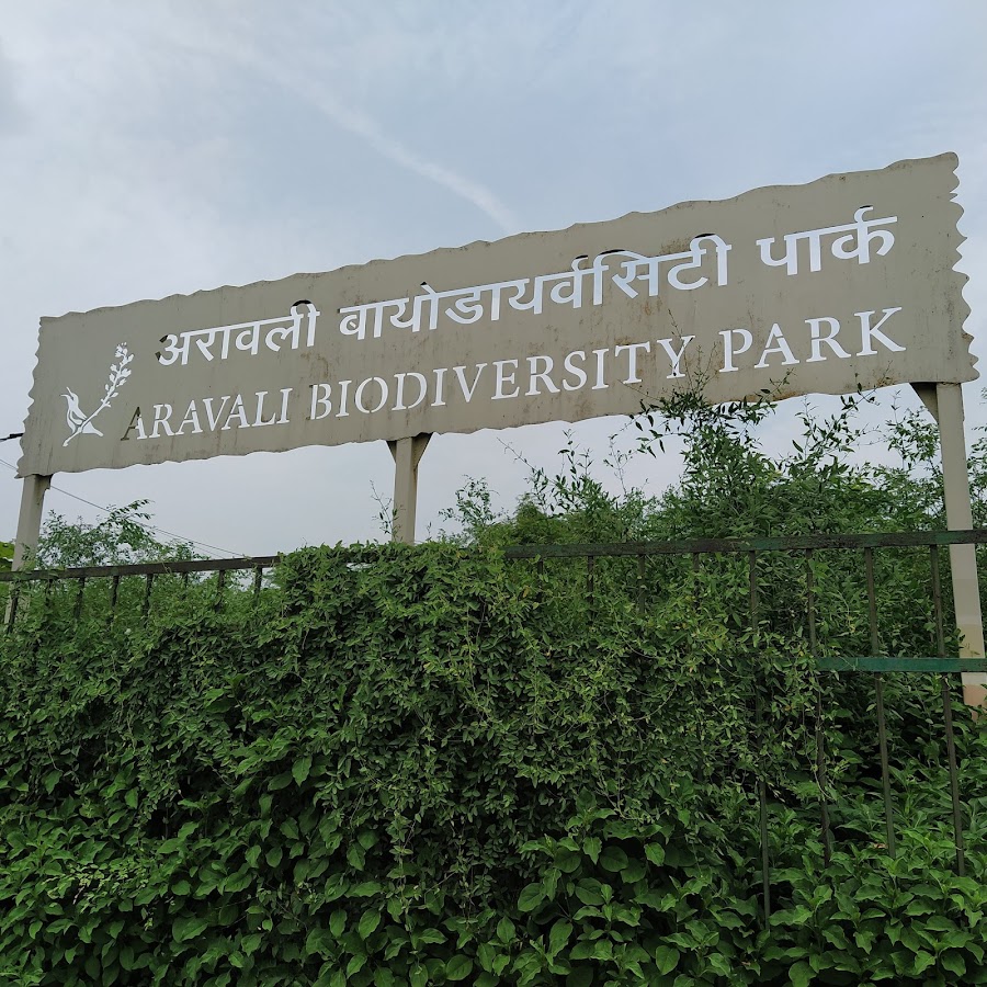 Aravali Biodiversity Park photo 8