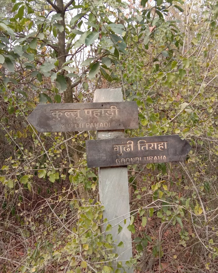 Aravali Biodiversity Park photo 9