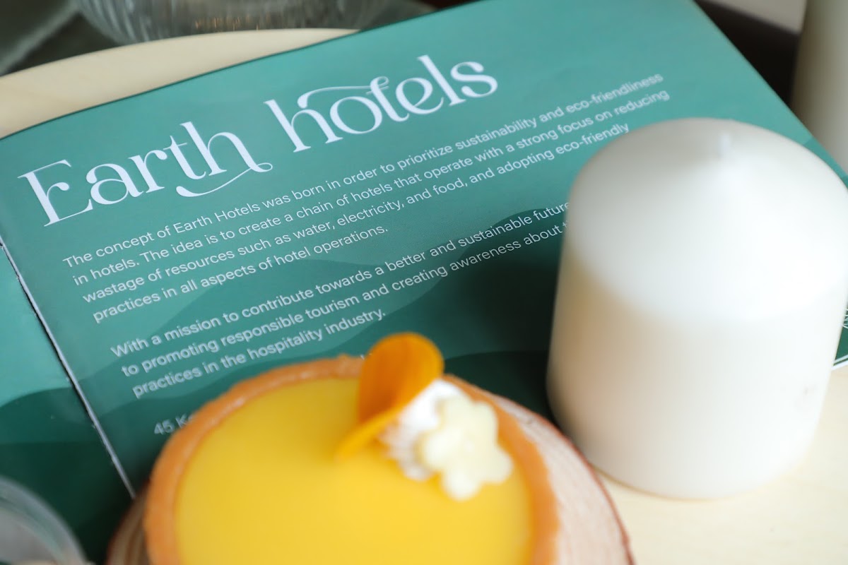 Earth Hotels photo 9