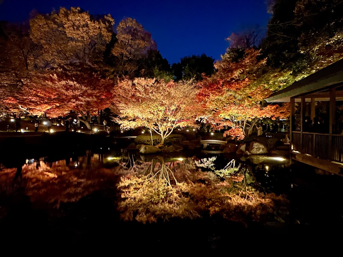Otaguro Park photo 3