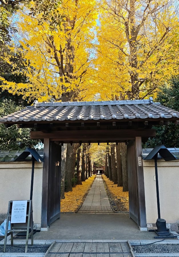 Otaguro Park photo 5